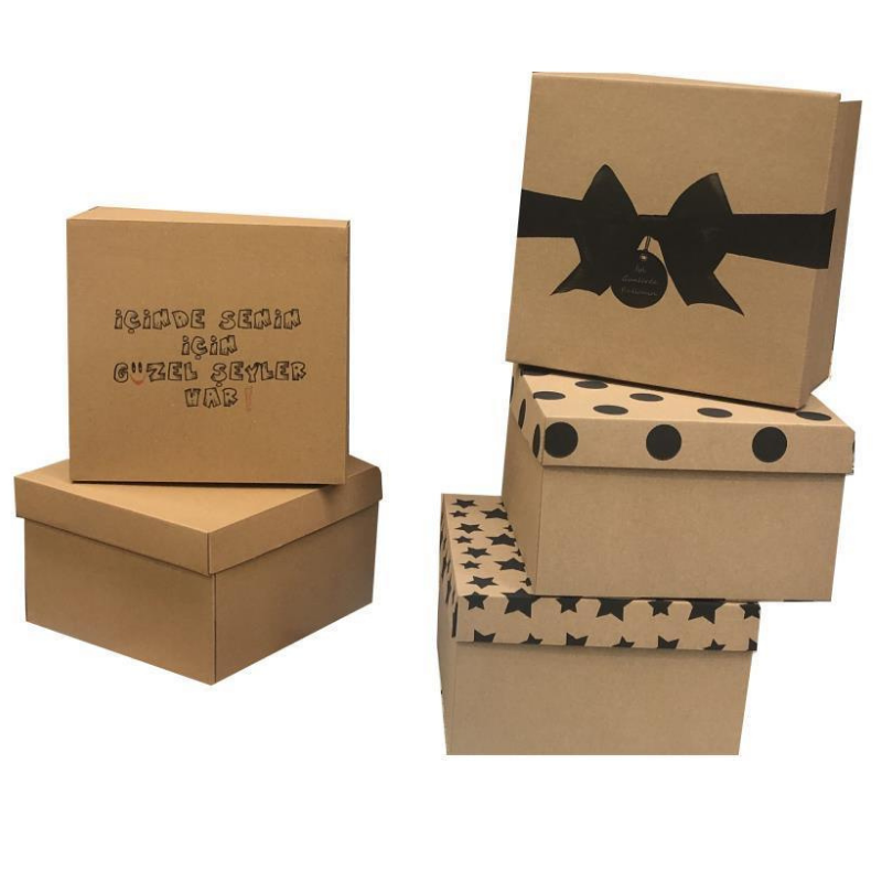Karton Kargo Kutuları